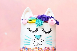 Meow Cat